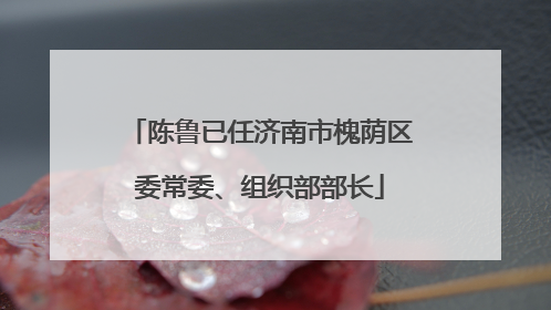 陈鲁已任济南市槐荫区委常委、组织部部长