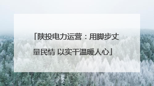 陕投电力运营：用脚步丈量民情 以实干温暖人心
