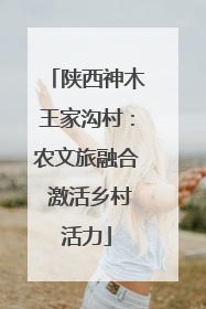 陕西神木王家沟村：农文旅融合 激活乡村活力
