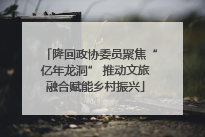 隆回政协委员聚焦“亿年龙洞” 推动文旅融合赋能乡村振兴