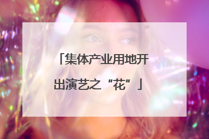 集体产业用地开出演艺之“花”