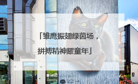 雏鹰振翅绿茵场，拼搏精神耀童年