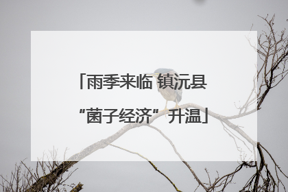 雨季来临 镇沅县“菌子经济”升温