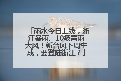 雨水今日上线，浙江暴雨、10级雷雨大风！新台风下周生成，要登陆浙江？