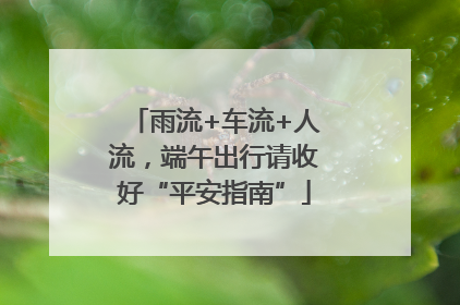 雨流+车流+人流，端午出行请收好“平安指南”
