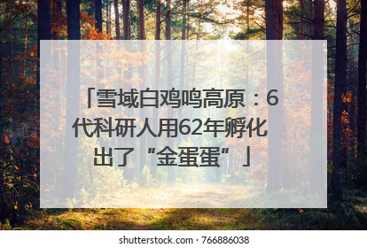 雪域白鸡鸣高原：6代科研人用62年孵化出了“金蛋蛋”
