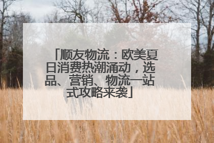 顺友物流：欧美夏日消费热潮涌动，选品、营销、物流一站式攻略来袭