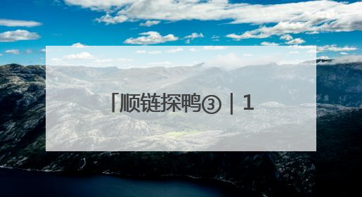 顺链探鸭③｜1个人就能管6万只鸭，养成一只鸭只需50多天