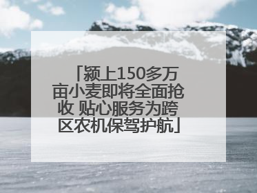 颍上150多万亩小麦即将全面抢收 贴心服务为跨区农机保驾护航