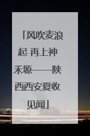 风吹麦浪起 再上神禾塬——陕西西安夏收见闻