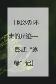 风沙刮不走的足迹——彰武“逐绿”记