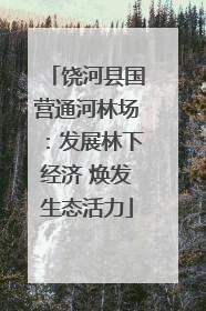 饶河县国营通河林场：发展林下经济 焕发生态活力
