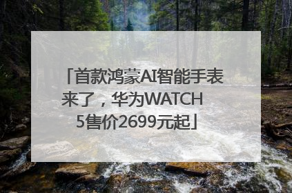 首款鸿蒙AI智能手表来了，华为WATCH 5售价2699元起