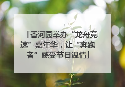 香河园举办“龙舟竞速”嘉年华，让“奔跑者”感受节日温情