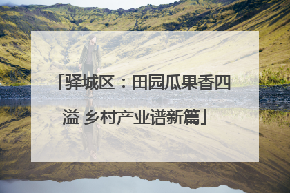 驿城区：田园瓜果香四溢 乡村产业谱新篇