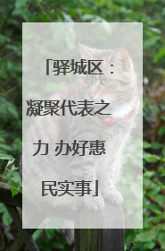 驿城区：凝聚代表之力 办好惠民实事