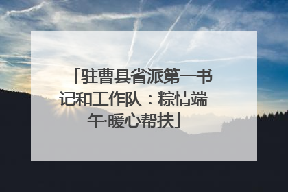 驻曹县省派第一书记和工作队：粽情端午·暖心帮扶