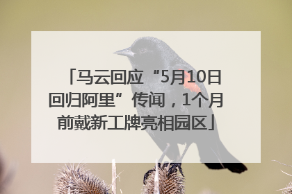 马云回应“5月10日回归阿里”传闻，1个月前戴新工牌亮相园区