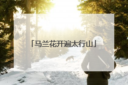 马兰花开遍太行山