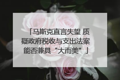 马斯克直言失望 质疑政府税收与支出法案能否兼具“大而美”