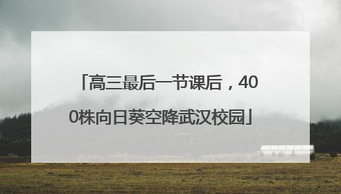 高三最后一节课后，400株向日葵空降武汉校园