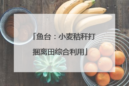 鱼台：小麦秸秆打捆离田综合利用