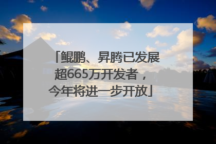 鲲鹏、昇腾已发展超665万开发者，今年将进一步开放
