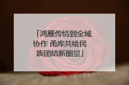 鸿雁传情到全域协作 甬库共绘民族团结新图景