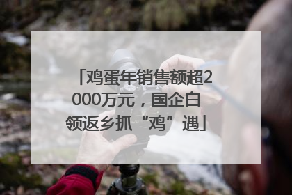 鸡蛋年销售额超2000万元，国企白领返乡抓“鸡”遇