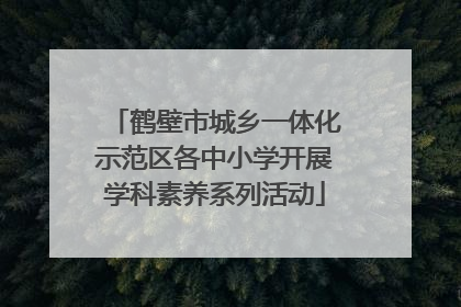 鹤壁市城乡一体化示范区各中小学开展学科素养系列活动