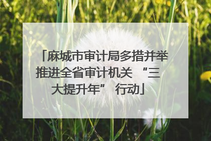 麻城市审计局多措并举推进全省审计机关 “三大提升年” 行动