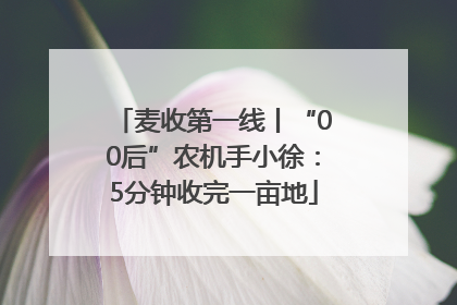 麦收第一线丨“00后”农机手小徐：5分钟收完一亩地