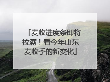 麦收进度条即将拉满！看今年山东麦收季的新变化