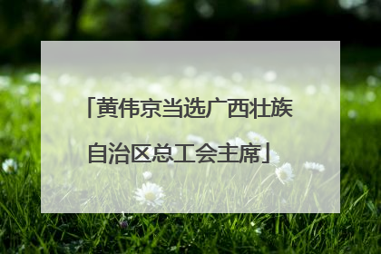 黄伟京当选广西壮族自治区总工会主席