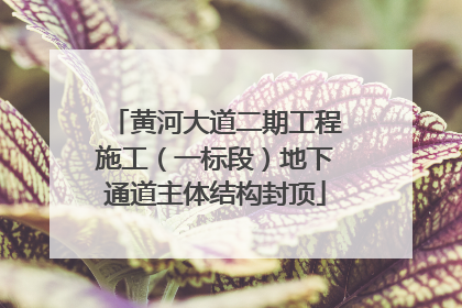黄河大道二期工程施工（一标段）地下通道主体结构封顶