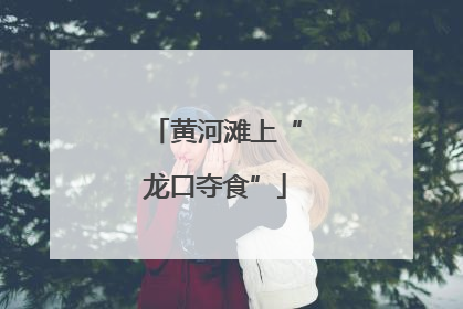 黄河滩上“龙口夺食”
