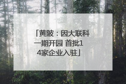 黄陂：因大联科一期开园 首批14家企业入驻