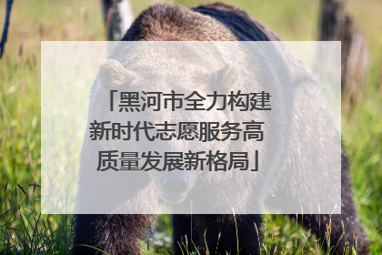黑河市全力构建新时代志愿服务高质量发展新格局