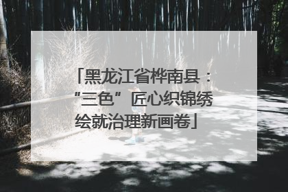 黑龙江省桦南县：“三色”匠心织锦绣 绘就治理新画卷
