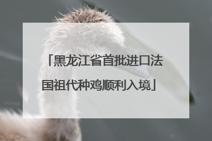 黑龙江省首批进口法国祖代种鸡顺利入境