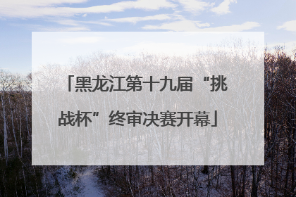 黑龙江第十九届“挑战杯”终审决赛开幕