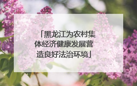 黑龙江为农村集体经济健康发展营造良好法治环境