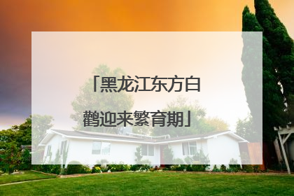黑龙江东方白鹳迎来繁育期