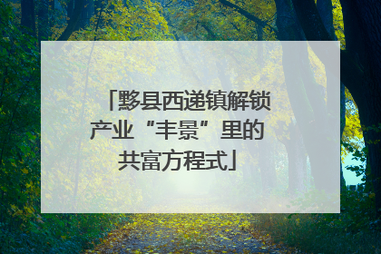 黟县西递镇解锁产业“丰景”里的共富方程式
