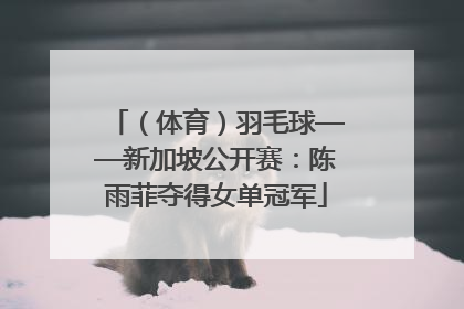 （体育）羽毛球——新加坡公开赛：陈雨菲夺得女单冠军