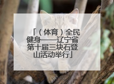 （体育）全民健身——辽宁省第十届三块石登山活动举行