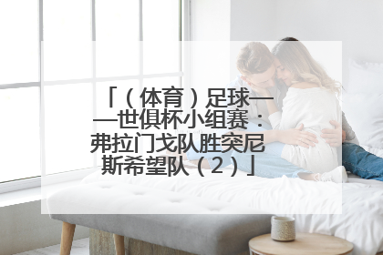 （体育）足球——世俱杯小组赛：弗拉门戈队胜突尼斯希望队（2）
