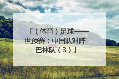 （体育）足球——世预赛：中国队对阵巴林队（3）