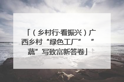 （乡村行·看振兴）广西乡村“绿色工厂” “蔬”写致富新答卷