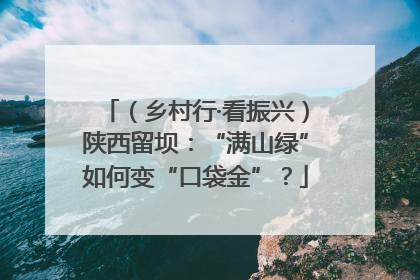（乡村行·看振兴）陕西留坝：“满山绿”如何变“口袋金”？